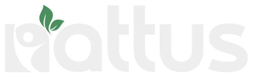 Nattus